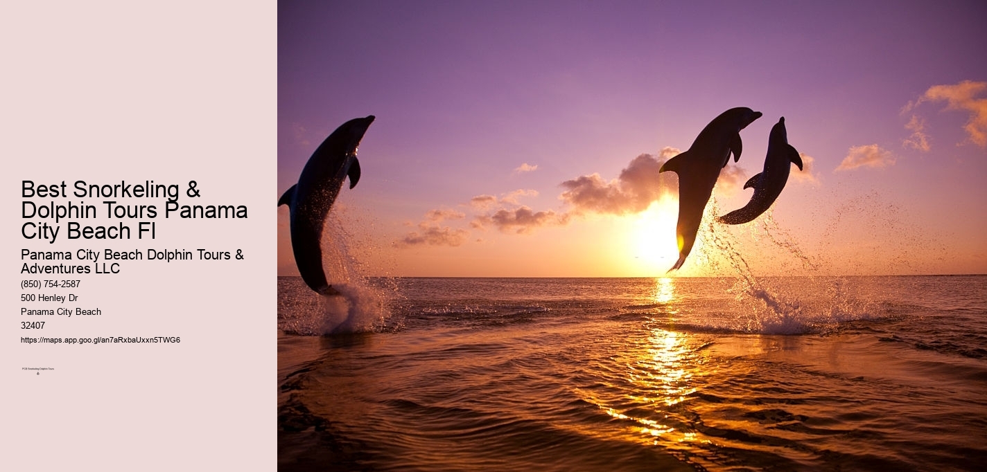 Best Snorkeling & Dolphin Tours Panama City Beach Fl