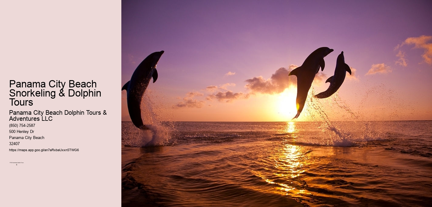 Panama City Beach Snorkeling & Dolphin Tours