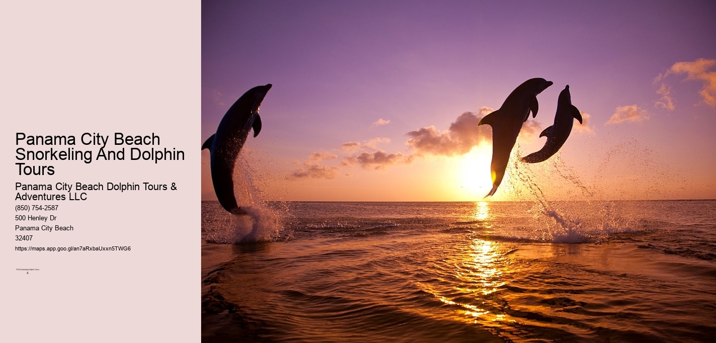 Panama City Beach Snorkeling And Dolphin Tours