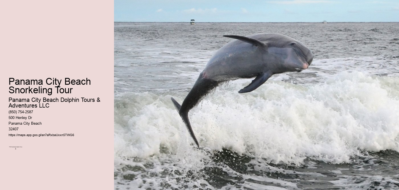 Panama City Beach Snorkeling Tour