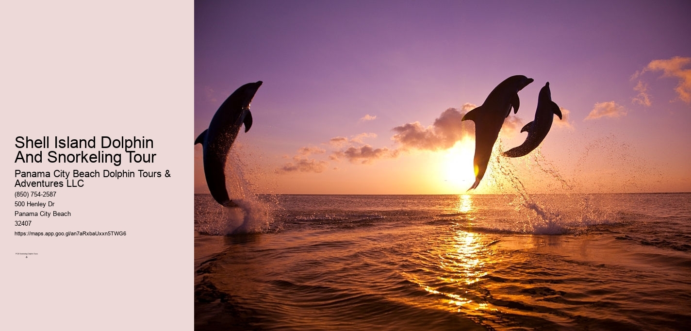 Shell Island Dolphin And Snorkeling Tour
