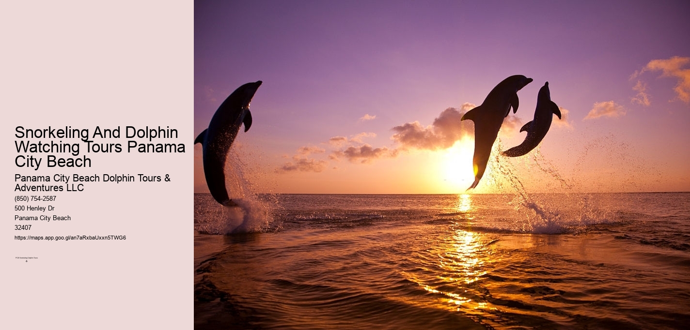 Snorkeling And Dolphin Watching Tours Panama City Beach